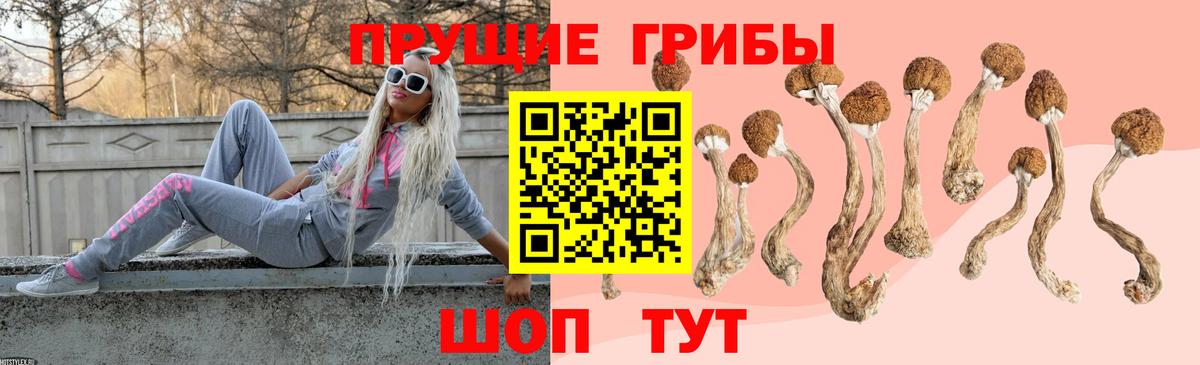 Нововоронеж  Галлюциногенные грибы прущие грибы  Вход с VPN 